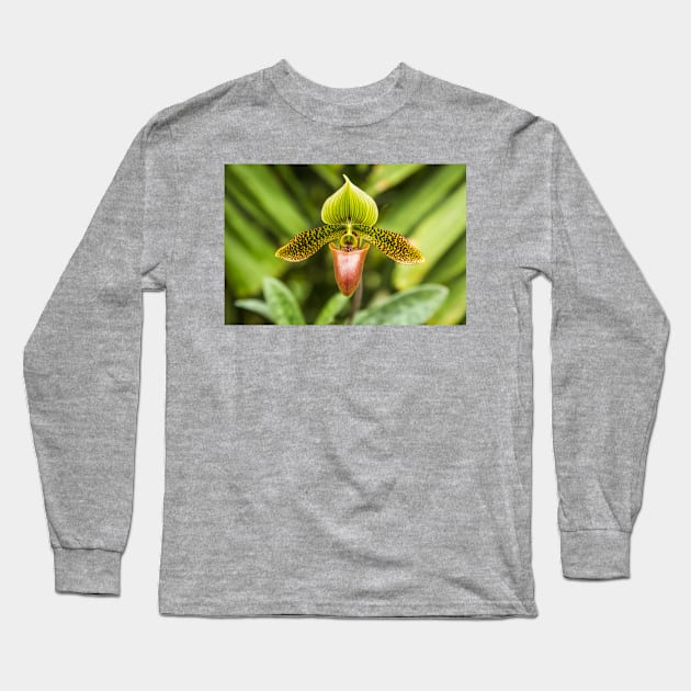 Green Long Sleeve T-Shirt by thadz